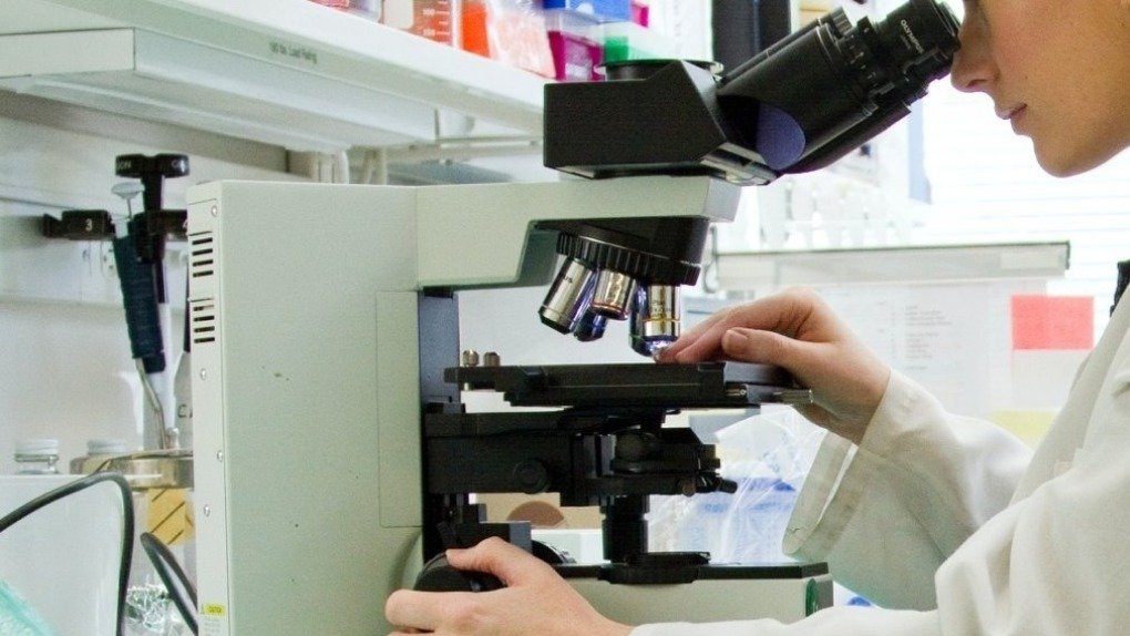 Новые молодёжные научные лаборатории откроют в Новосибирской области