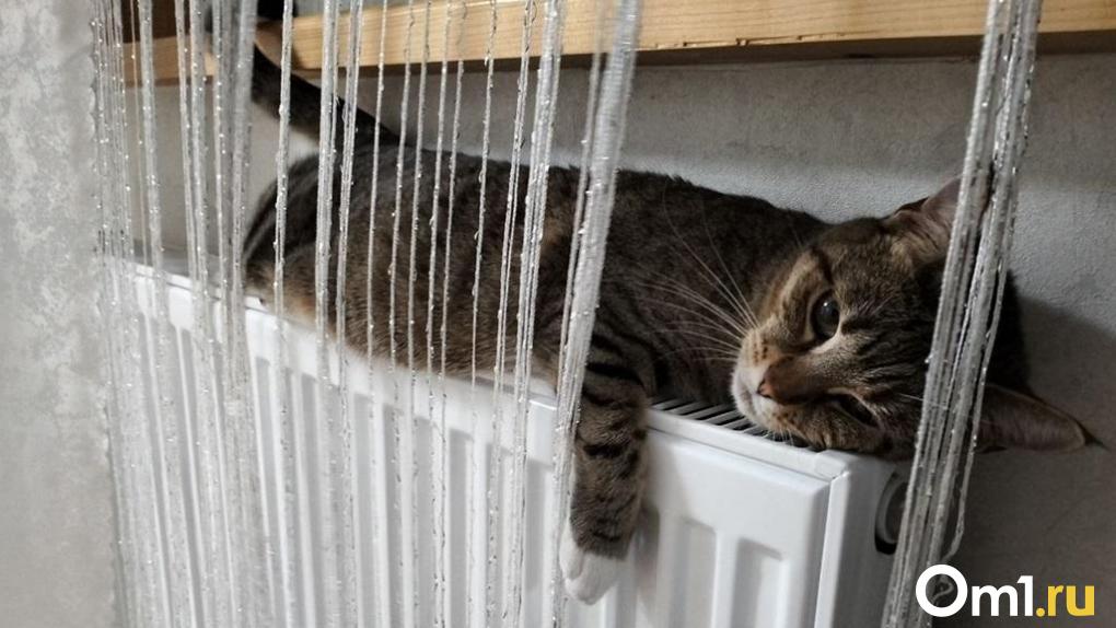 Омичи взыскали с «Омск РТС» компенсацию за холод в квартирах зимой