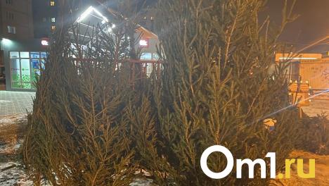 На Левобережье в Омске откроют 30 ёлочных базаров