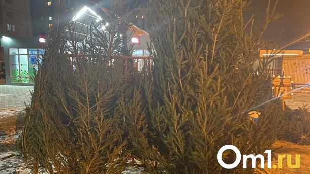 На Левобережье в Омске откроют 30 ёлочных базаров