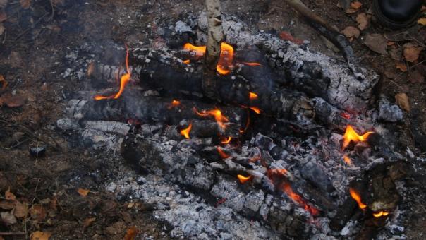 Пожароопасный сезон в Новосибирской области окончен