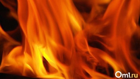 В омских деревнях дотла сгорело два дома