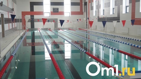 Компания депутата новосибирского Заксобрания реконструирует бассейн СКА за 743 млн рублей