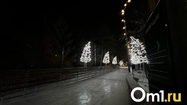 Омичам рассказали, где зальют хоккейные коробки до 11 декабря