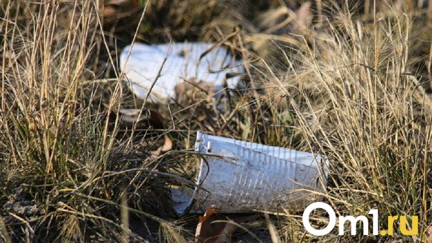 Омских чиновников обязали ликвидировать 7 нелегальных свалок