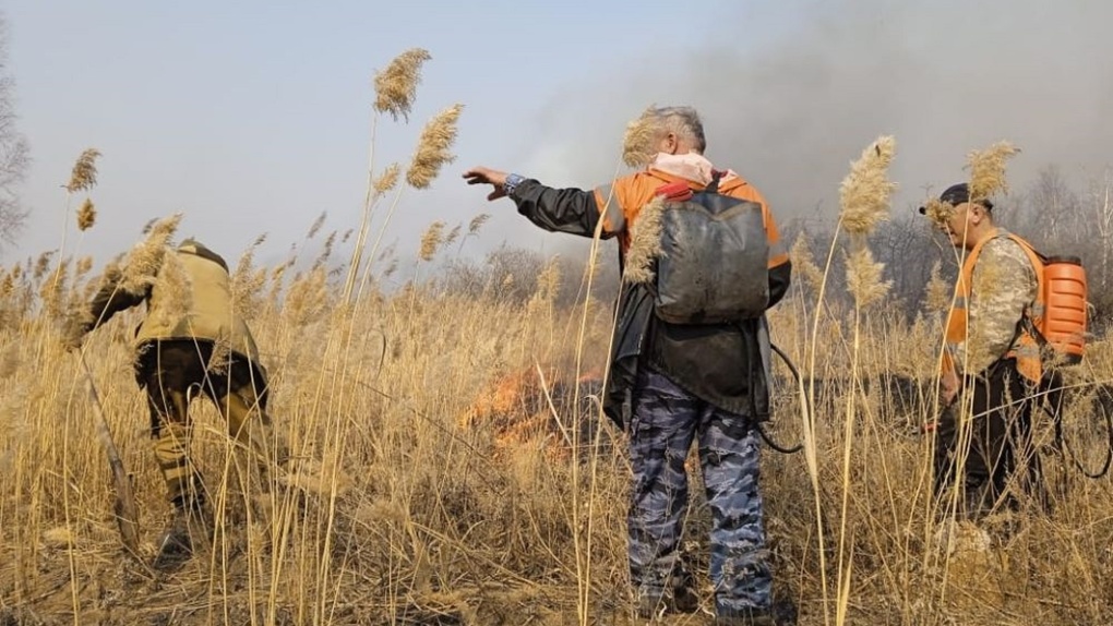 Из-за пожаров в Омской области возбудили три уголовных дела