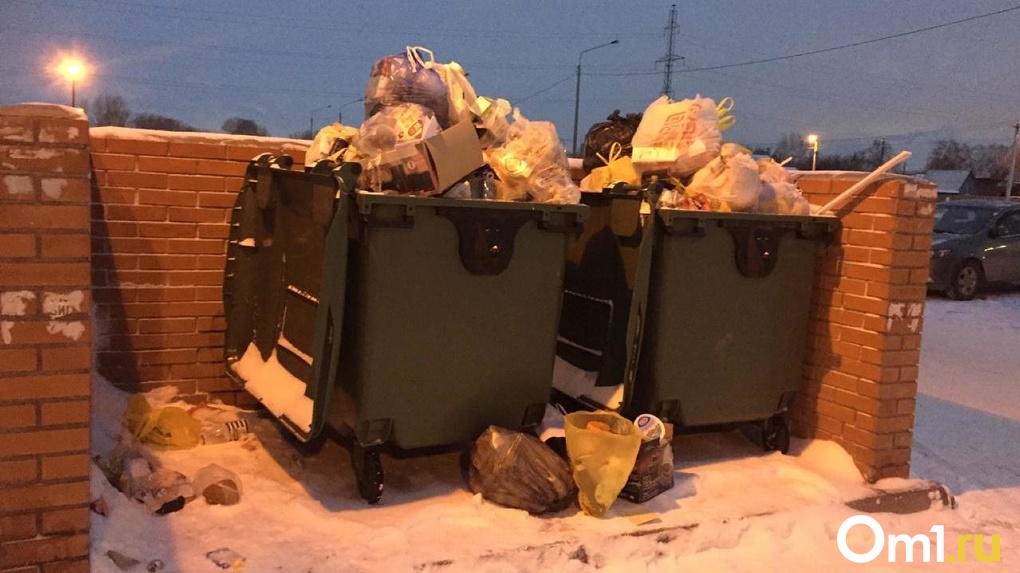 Избили охранника палками: новосибирские школьники устроили драку за еду из мусорного контейнера. ВИДЕО
