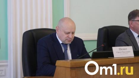 У мэра Омска может появиться ещё один первый заместитель