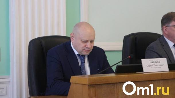 У мэра Омска может появиться ещё один первый заместитель