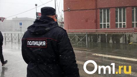 За попытку избить полицейских молотком осудили жителя Новосибирска