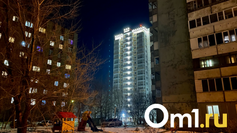 В Омске за 55 миллионов продают дом со спортплощадкой и целым этажом под детскую