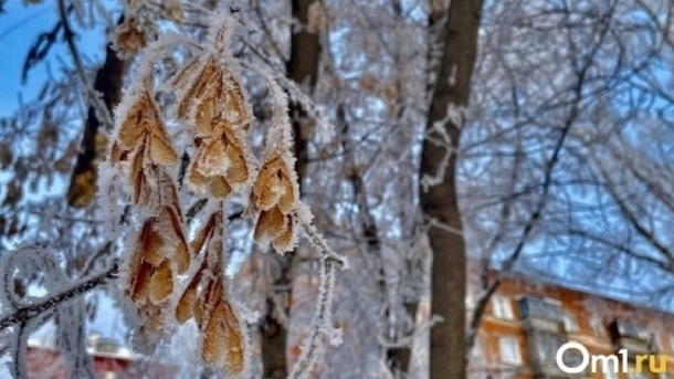 Морозы до -21 градуса ударят в Новосибирске