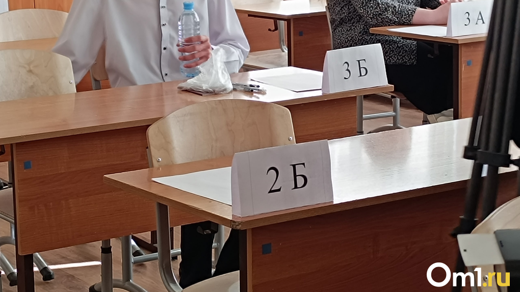 Пять выпускников в Новосибирске получили 100 баллов сразу по двум предметам