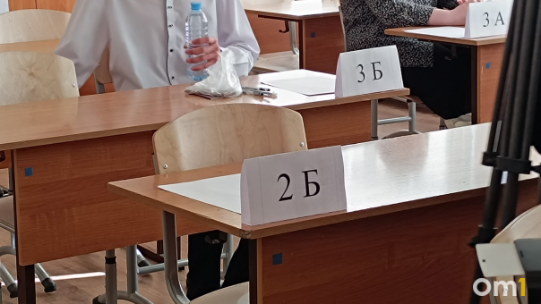 Пять выпускников в Новосибирске получили 100 баллов сразу по двум предметам