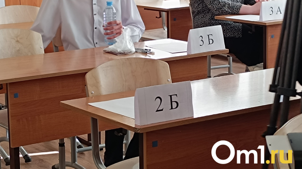 Пять выпускников в Новосибирске получили 100 баллов сразу по двум предметам