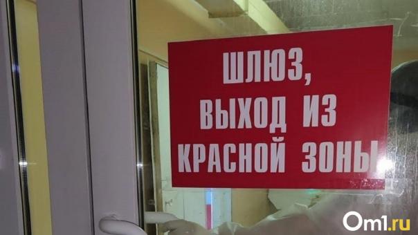 Новая эпидемия? В Россию вернулся мутировавший штамм коронавируса BA.2 — стелс-омикрон