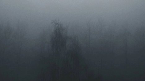 Ночью 20 июня в Новосибирскую область придёт похолодание до +2 градусов