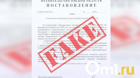 В правительстве прокомментировали сокращение расходов на социалку ради армии. Это фейк