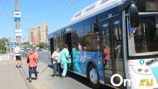 Кормилец рассказал, что мешает мэрии организовать больше «выделенок»