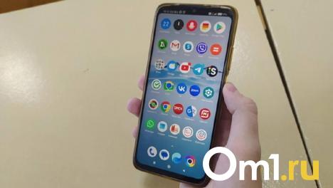 Омичка «продлила» обслуживание сотовой связи за 400 тысяч рублей