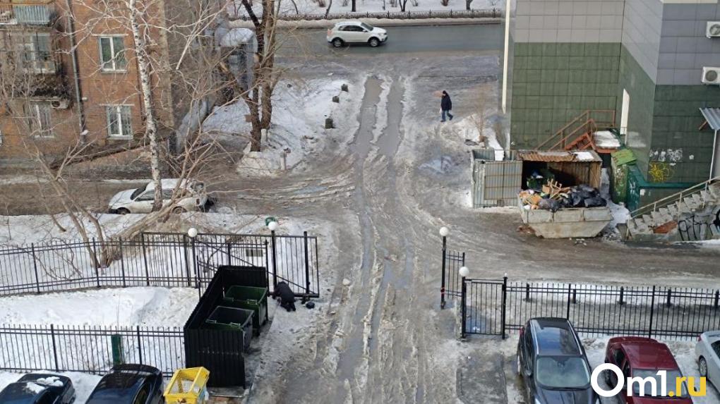 Весна в феврале: Новосибирск затопило снегом с дождём