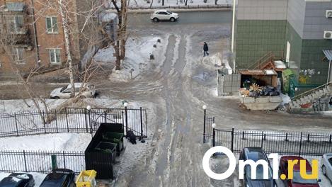 Весна в феврале: Новосибирск затопило снегом с дождём