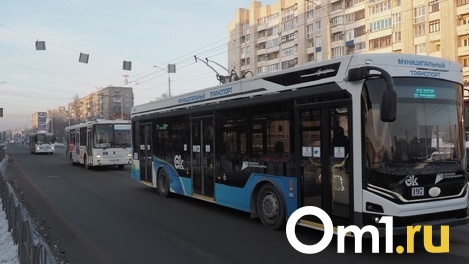 Новые 40 троллейбусов для Омска закупят у производителя «Адмиралов»