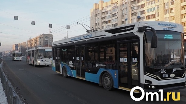 Новые 40 троллейбусов для Омска закупят у производителя «Адмиралов»