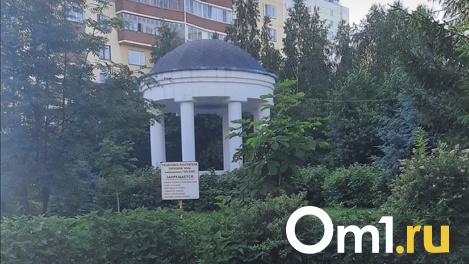 Территория может стать опасной. Две тысячи новосибирцев бьются за сохранение парка в Ленинском районе