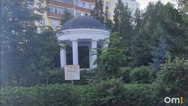 Территория может стать опасной. Две тысячи новосибирцев бьются за сохранение парка в Ленинском районе