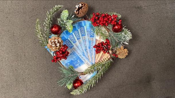 Новосибирцам назвали зарплату за работу на «новогодней» должности