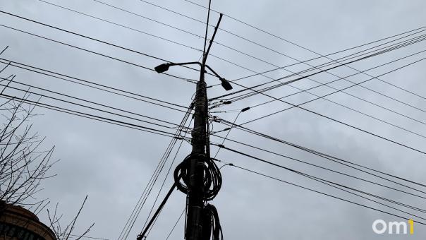 Провод, убивший собак в Кировском округе, оставили злоумышленники