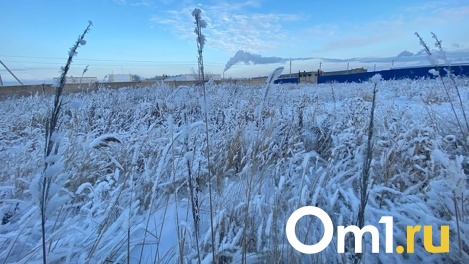 Трёхдневная рабочая неделя для омичей начнётся с морозов до -34