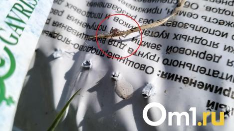 За неделю существенно выросло количество новосибирцев, пострадавших от клещей