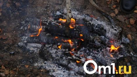 За поджог собственной жены жителя Новосибирской области отправили в колонию