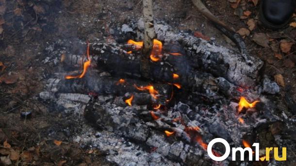 За поджог собственной жены жителя Новосибирской области отправили в колонию
