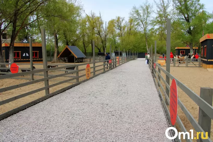 Изображение фоторепортажа