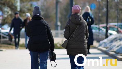 Мошенники заставили омичку крупно обмануть подругу