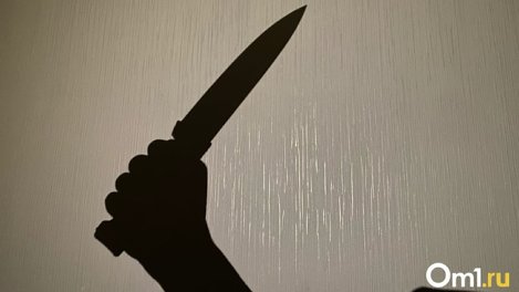 Омич зарезал приятеля и выкинул его тело в мусорный бак