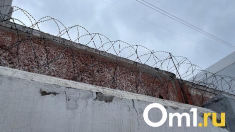Омич получил восемь лет колонии за участие в преступной группе