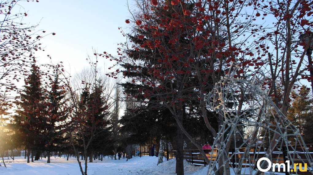 Метель, гололёд и жуткие морозы до -30: в Омской области установится опасная погода