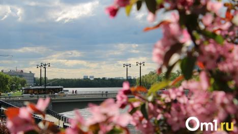 Горячую линию по вопросам общественного транспорта запустят в Омской области