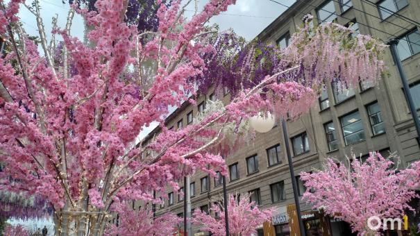Улицу Ленина в Новосибирске украшают цветами к юбилею города. ФОТО