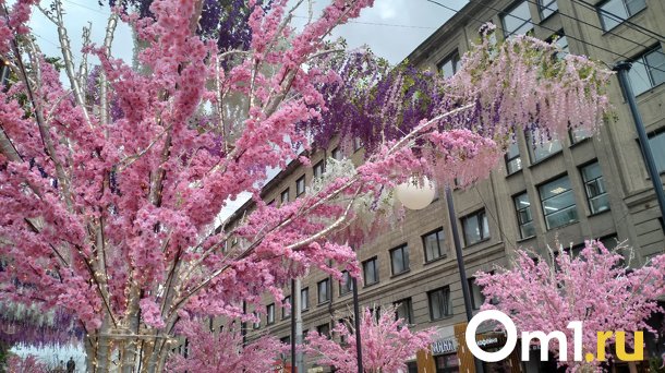 Улицу Ленина в Новосибирске украшают цветами к юбилею города. ФОТО