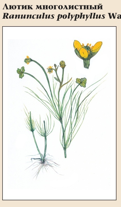 Изображение фоторепортажа