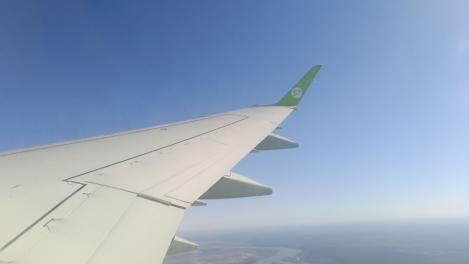 Двух пассажиров бизнес-класса сняли с рейса в Новосибирске из-за шутки о бомбе