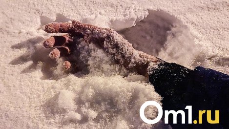 Нелепая случайность? В Омске за неделю нашли четыре трупа с сомнительным прошлым