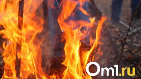Сотрудники Росгвардии не дали огню перекинуться на жилые дома в Омской области