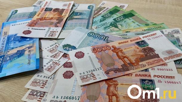Стало известно, кто больше всего зарабатывает в Омской области: вы удивитесь