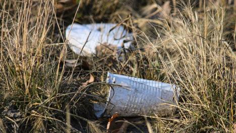 Новосибирские полигоны бесплатно примут мусор с субботника